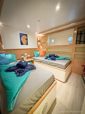 Delfinreise – Atmosphäre am Meer